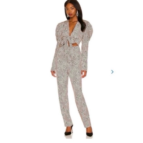 REVOLVE Lovers + Friends Cheetah Print Jumpsuit - Picture 4 of 9